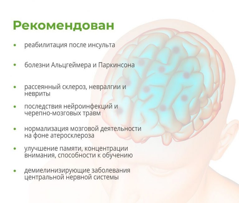 uluchshenie pamyati i kontsentratsii blagodarya roli peptidov havinsona