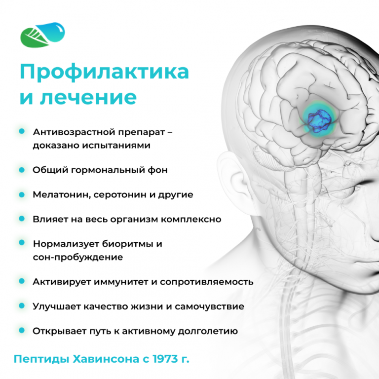 vliyanie peptidov havinsona na uroven stressa i ustalosti izuchenie effekta na organizm