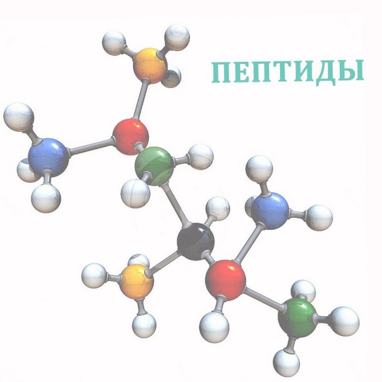 peptida